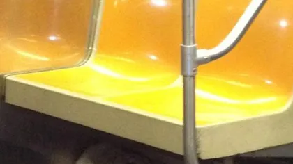 Un opossum a provocat alertă în metroul din New York