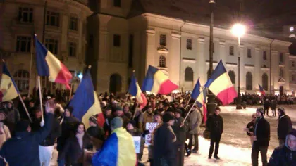 Căţel contra Băsescu: Poartă pancarte cu mesaje împotriva şefului statului şi a eutanasierii