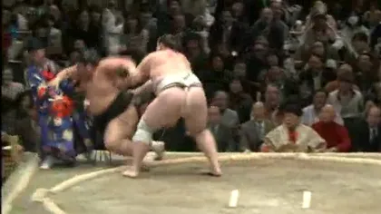 Arbitru de sumo făcut KO de cei doi luptători VIDEO