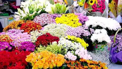Peste 80.000 de fire de flori confiscate în urma unei razii în Piaţa George Coşbuc din Capitală