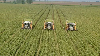 APIA: Plăţile efectuate către fermierii români au depăşit 5 miliarde de euro