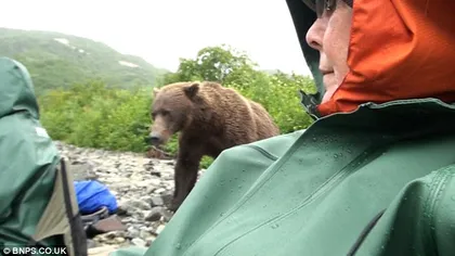 Nas în nas cu ursul: Mai mulţi turişti din Alaska s-au întâlnit cu un grizzly VIDEO