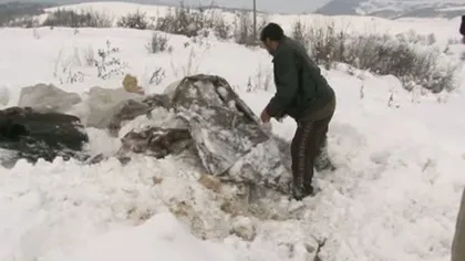 O casă de chirpici din Maramureş a fost dărâmată de zăpadă VIDEO