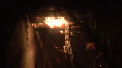 Incendiu lângă o benzinărie la Timişoara VIDEO