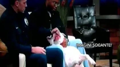 A fost muşcată de un câine în direct VIDEO