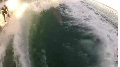 Un tânăr a făcut surf împreună cu doi delfini VIDEO