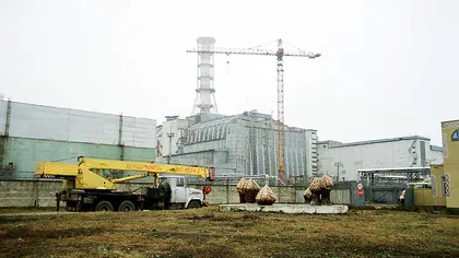 Unele specii de păsări par să se fi adaptat la mediul radioactiv din jurul Cernobâlului