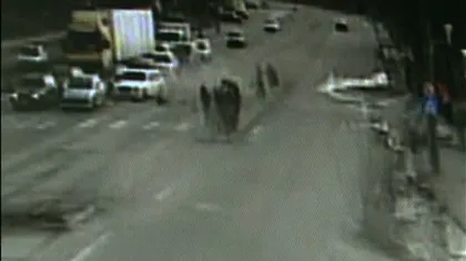 Şoferul vitezoman care a spulberat patru persoane în staţia de tramvai a ajuns după gratii VIDEO