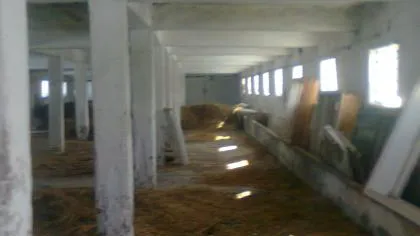 Un bărbat a murit după ce a fost prins sub un perete de beton în Suceava