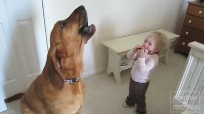 Un căţel şi un bebeluş cântă blues VIDEO