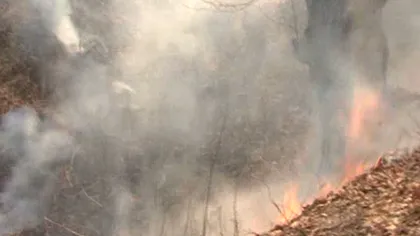 Incendiu violent în Vâlcea. 200 de oameni se luptă cu flăcările de trei zile VIDEO