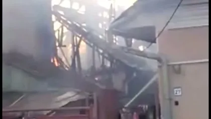 Patru case au ars în Cluj-Napoca VIDEO