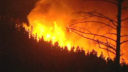 Incendiu puternic în zona oraşului Brezoi. 100 de pompieri intervin pentru stingerea acestuia