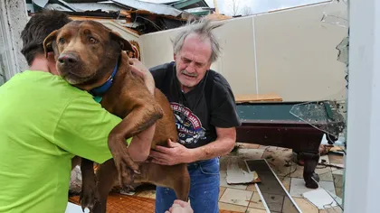 Un bărbat şi-a regăsit câinele pierdut într-o tornadă FOTO