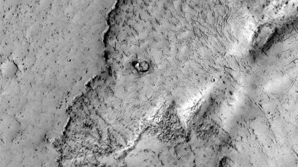 S-a descoperit un elefant pe Marte FOTO