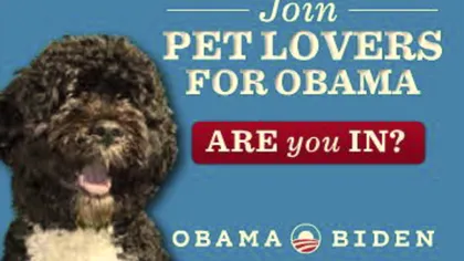Şi câinele Bo îl ajută pe Obama în campania electorală