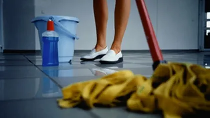 Sfaturile bunicii: Idei practice şi utile pentru gospodărie, litera F
