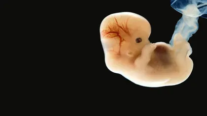 Ce este avortul spontan? Află dacă te afli în pericol