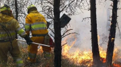 Un parc natural din Spania a fost mistuit de flăcări