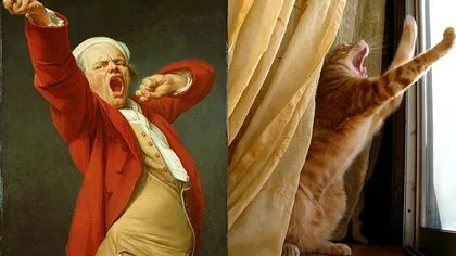 Pisicile şi istoria artei. 10 feline care imită operele unor pictori celebri GALERIE FOTO