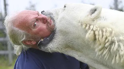 Prietenie incredibilă dintre un canadian şi un urs polar VIDEO