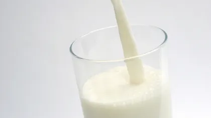 Fuia: O mare parte din laptele vândut în magazine nu este natural. Este produs din lapte praf VIDEO