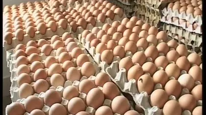 Atenţie la ouăle cumpărate în preajma Paştelui! 50.000 de ouă, confiscate în Ilfov