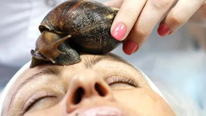 Cele mai bizare tratamente la spa: De la melci pe faţă, la masajul cu şerpi