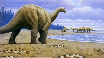 Dinozaurii au provocat schimbările climatice, contribuind la propria lor dispariţie