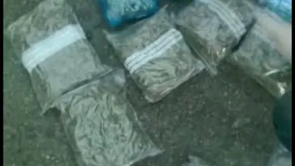 DIICOT a capturat 4,5 kilograme de canabis ce urmau să ajungă la Bucureşti