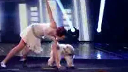 Un câine, câştigătorul concursului Britain's Got Talent VIDEO