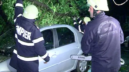 Maşini distruse de un copac căzut pe Bulevardul Timişoara, din Capitală VIDEO