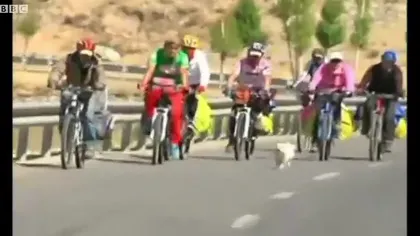 Călătoria incredibilă a unui câine: A alergat 1.700 km, într-o cursă ciclistă VIDEO