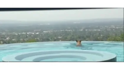 Un urs s-a răcorit într-o piscină din California VIDEO