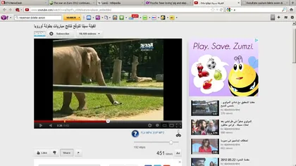 Oracolul polonez al Euro 2012 este elefantul Citta. Vezi ce face cu o minge de fotbal VIDEO