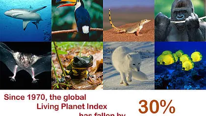 Mai avem nevoie de o planetă: Consumăm cu 50% mai mult decât poate susţine Pământul VIDEO