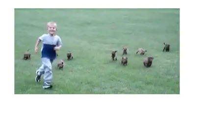 Copil fugărit de o haită de câini VIDEO