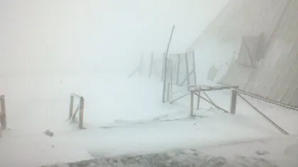 Babele sub zăpadă în plină lună mai VIDEO