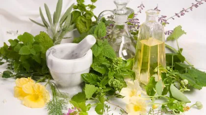 Cinci ierburi şi mirodenii care ne îmbunătăţesc sistemul imunitar