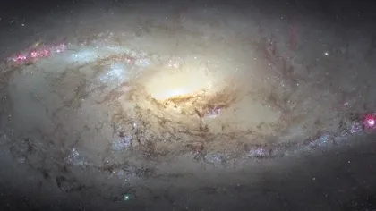 Fotografia astronomică a zilei: O minunăţie a spaţiului, galaxia M106