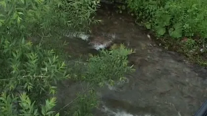 Viiturile au făcut PRIMA VICTIMĂ. Un bărbat s-a înecat în râul Motru Sec VIDEO