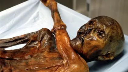 Globule roşii conservate timp de 5.300 de ani, descoperite în corpul mumiei Ötzi, omul gheţurilor