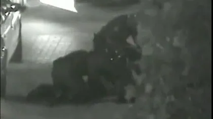 Un bărbat fără adăpost, omorât în bătaie de un poliţist VIDEO