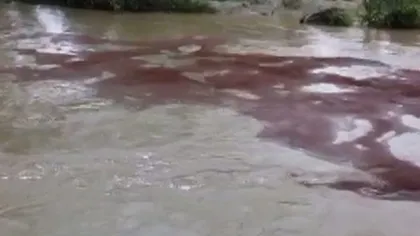 ALERTĂ pe râul Olteţ: Poluarea cu ţiţei a trecut de toate barajele absorbante