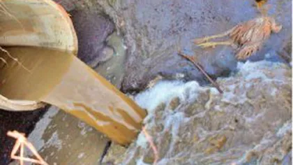 Poluare cu petrol, din nou, pe râul Cotmeana din judeţul Argeş VIDEO