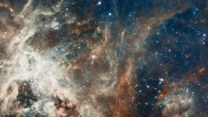 Fotografia astronomică a zilei: Formarea violentă a stelelor, în Nebuloasa Tarantula