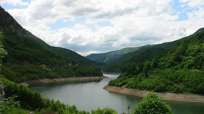 Ecosistemul Dunării, în pericol din cauza poluării cu nitraţi