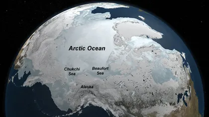 Descoperire NASA în Oceanul Arctic: Este ca şi cum ai găsi o junglă în mijlocul deşertului VIDEO