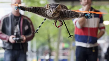 INCREDIBIL: Şi-a transformat pisica moartă într-un elicopter VIDEO