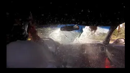 Accident de groază în timpul unei curse! Pilotul a lovit în plin un cerb VIDEO
